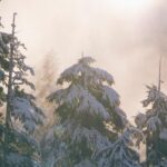 34deb0eb e50e 3fe0 9172 de6b1e1698db